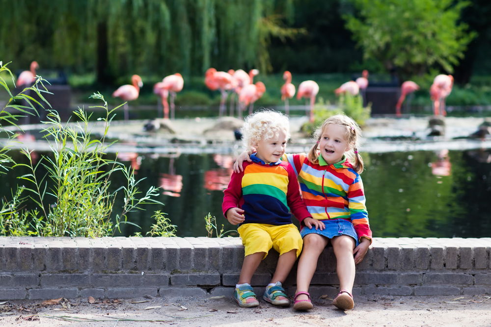 Phillips Park Zoo